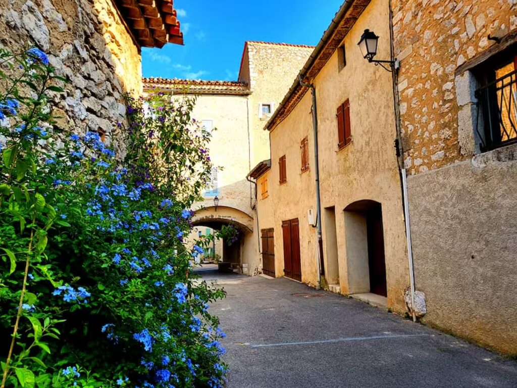 241644435_1025789038180392_7227921849182620158_n