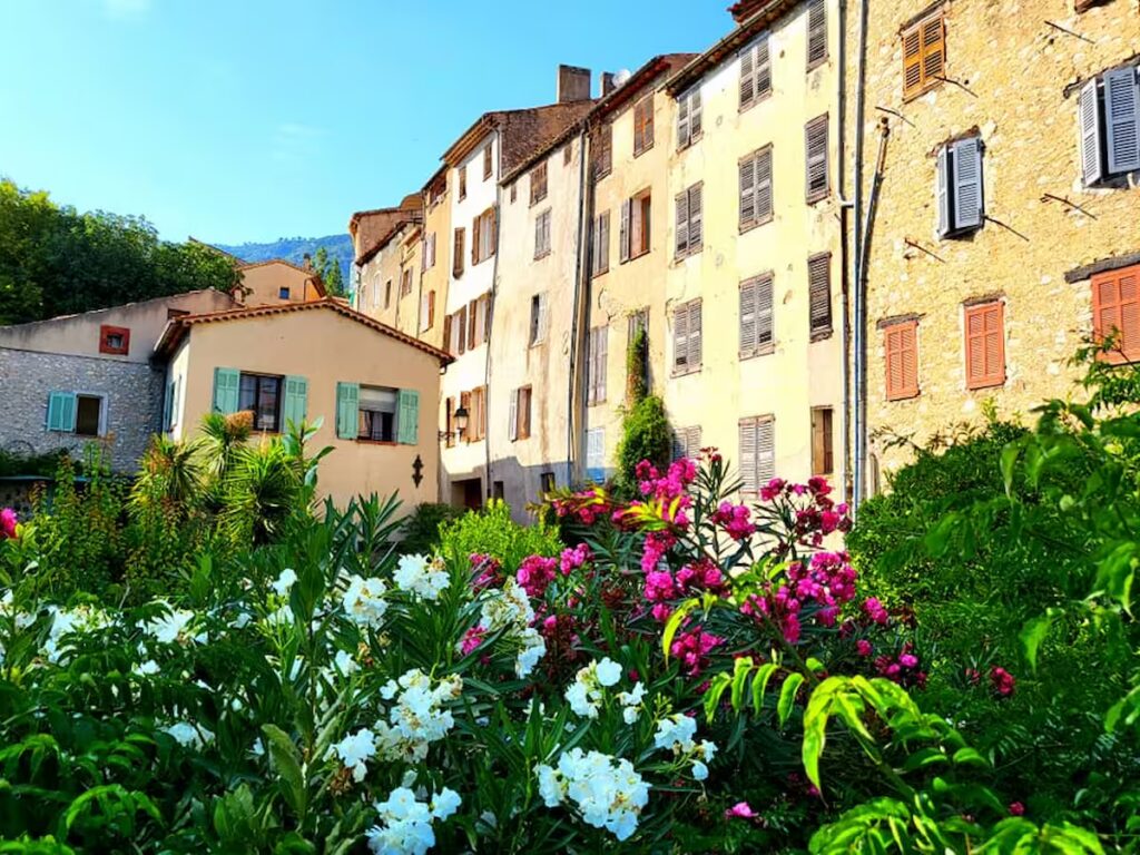 469164346_1767314364027852_6425235058697530151_n